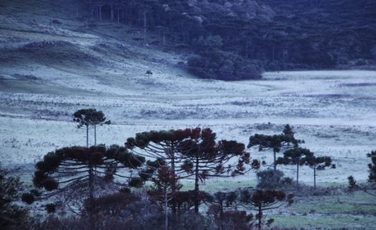 Clic SC | Frio chega com força nos próximos dias e deve ...