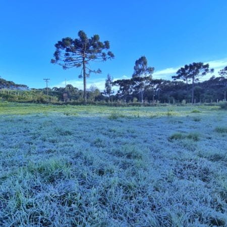 Santa Catarina registra quatro dias de geadas e temperaturas de 0,3°C na Serra