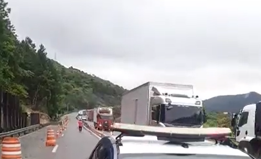 morro dos cavalos