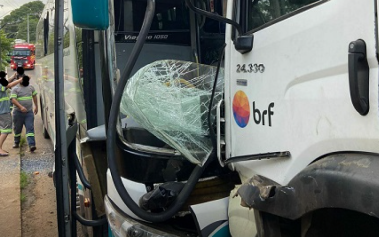 onibus e caminhão