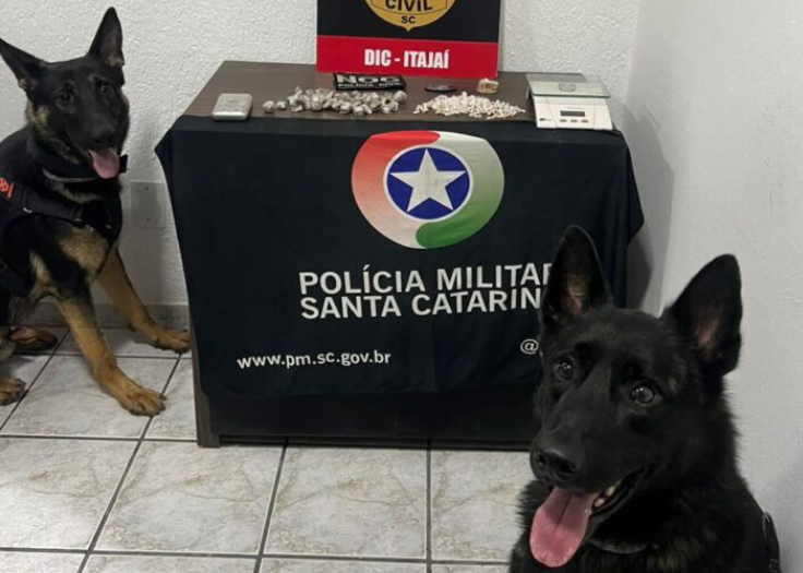 operação