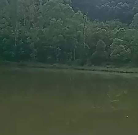 Homem morre afogado ao buscar equipamento de pesca levado por peixe