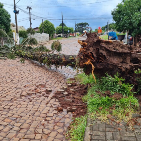 Cidades do Oeste de Santa Catarina são afetadas por tempestade