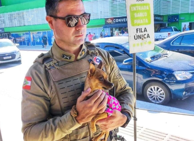 cão preso