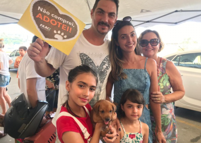 feira adoção