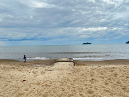 Assinada ordem de serviço para construção de molhe na Praia de Piçarras