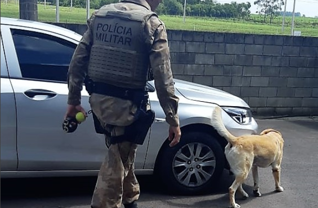cocaína