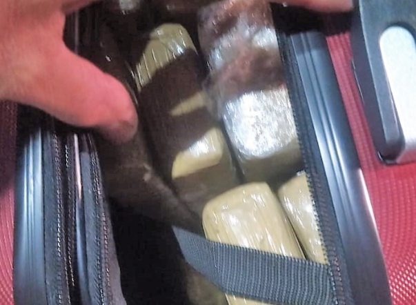 maconha apreendida