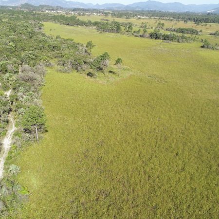 Tempo seco preocupa equipes que cuidam do Parque Estadual da Serra do Tabuleiro