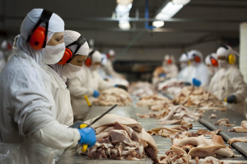 Imagem mostra trabalhadores de indústria de frangos