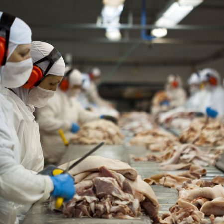 Sucesso: Santa Catarina lidera crescimento econômico nacional em abril