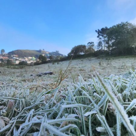 Serra de SC marca -4,8°C e tem terceiro dia de geada