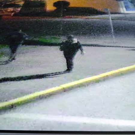 Homem pede cigarro para roubar bolsa de mulher em Tijucas